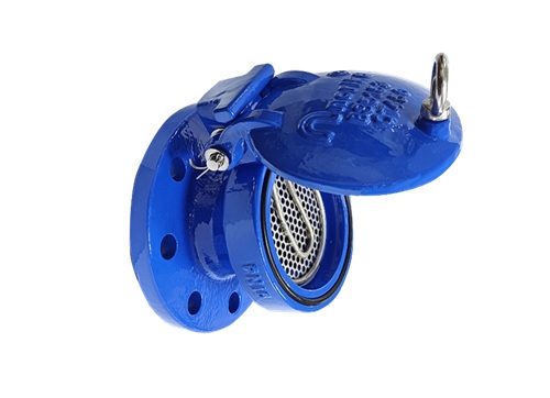 Ductile Iron Wafer Flap Check Valve